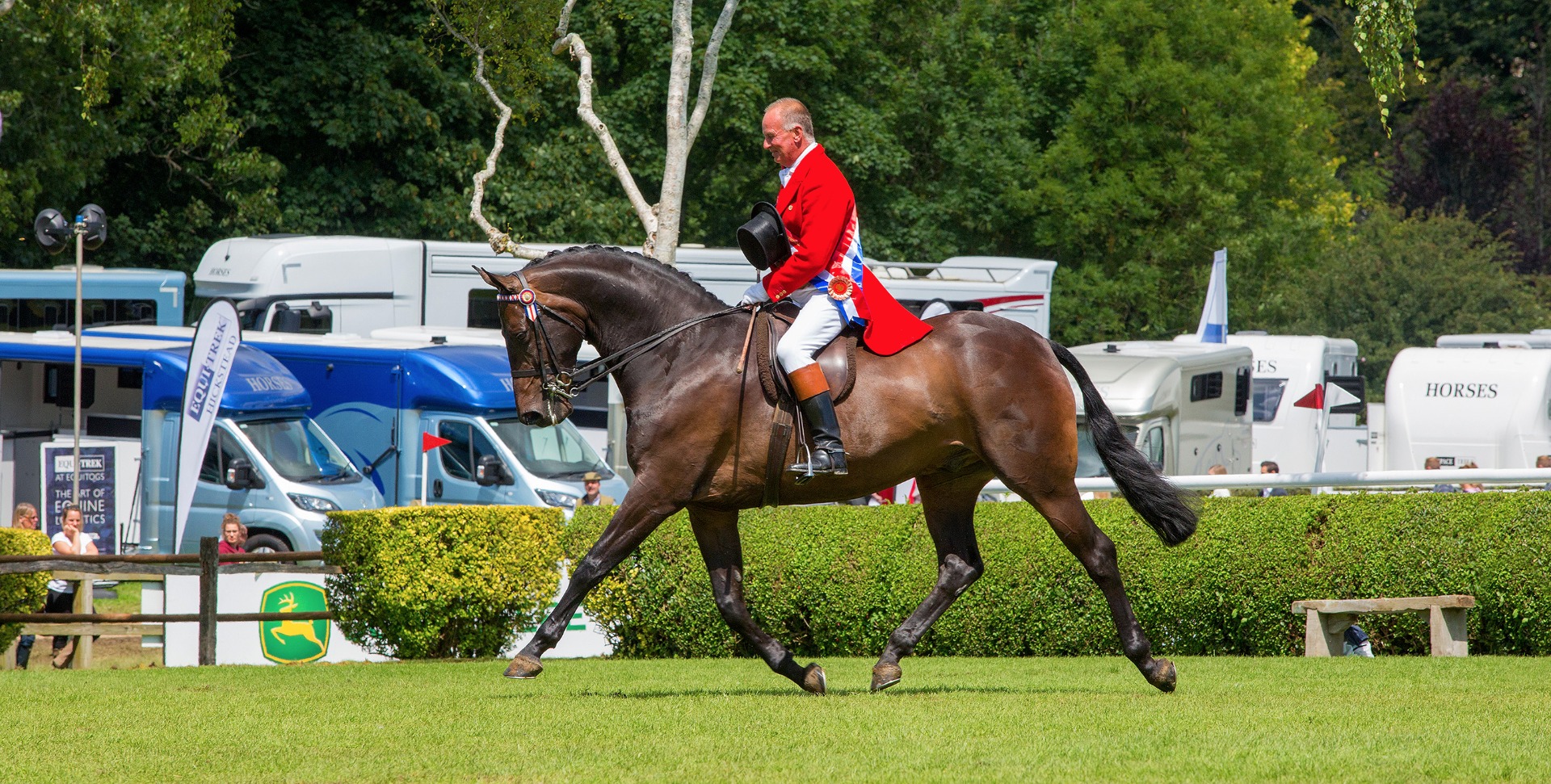 2017 British Horse Society Supreme Horse Championship 