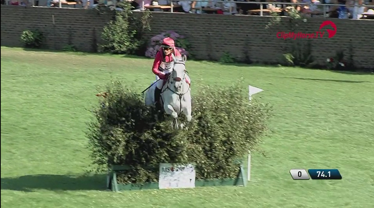 2018 MS Amlin Plus Eventers' Challenge - Paul Tapner and Bonza King of Rogues