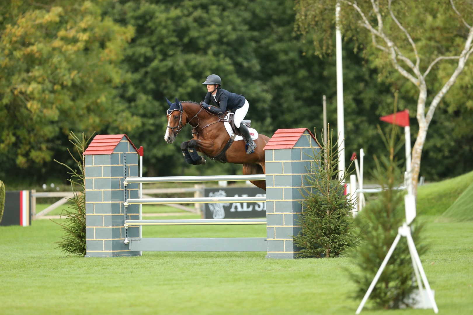 Al Shira'aa Six Year Old Championship