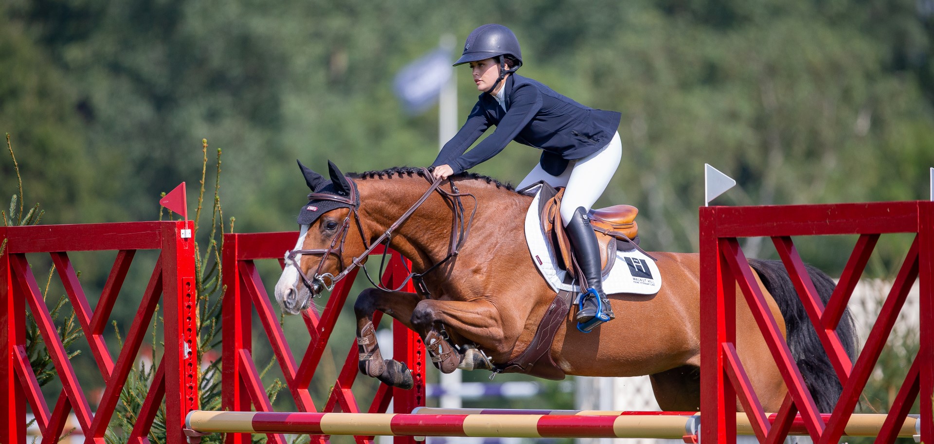 The Al Shira’aa 5 Year Old Star of the Future 