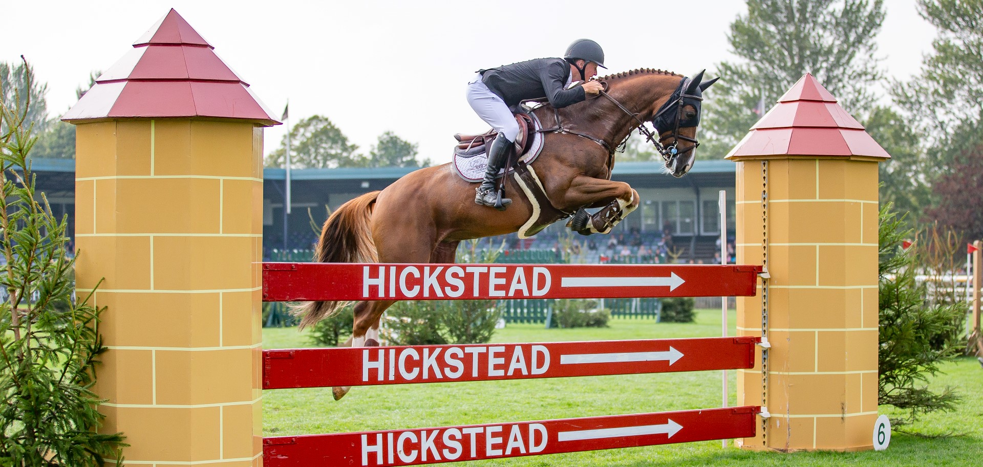 The Al Shira’aa 7 Year Old Championship