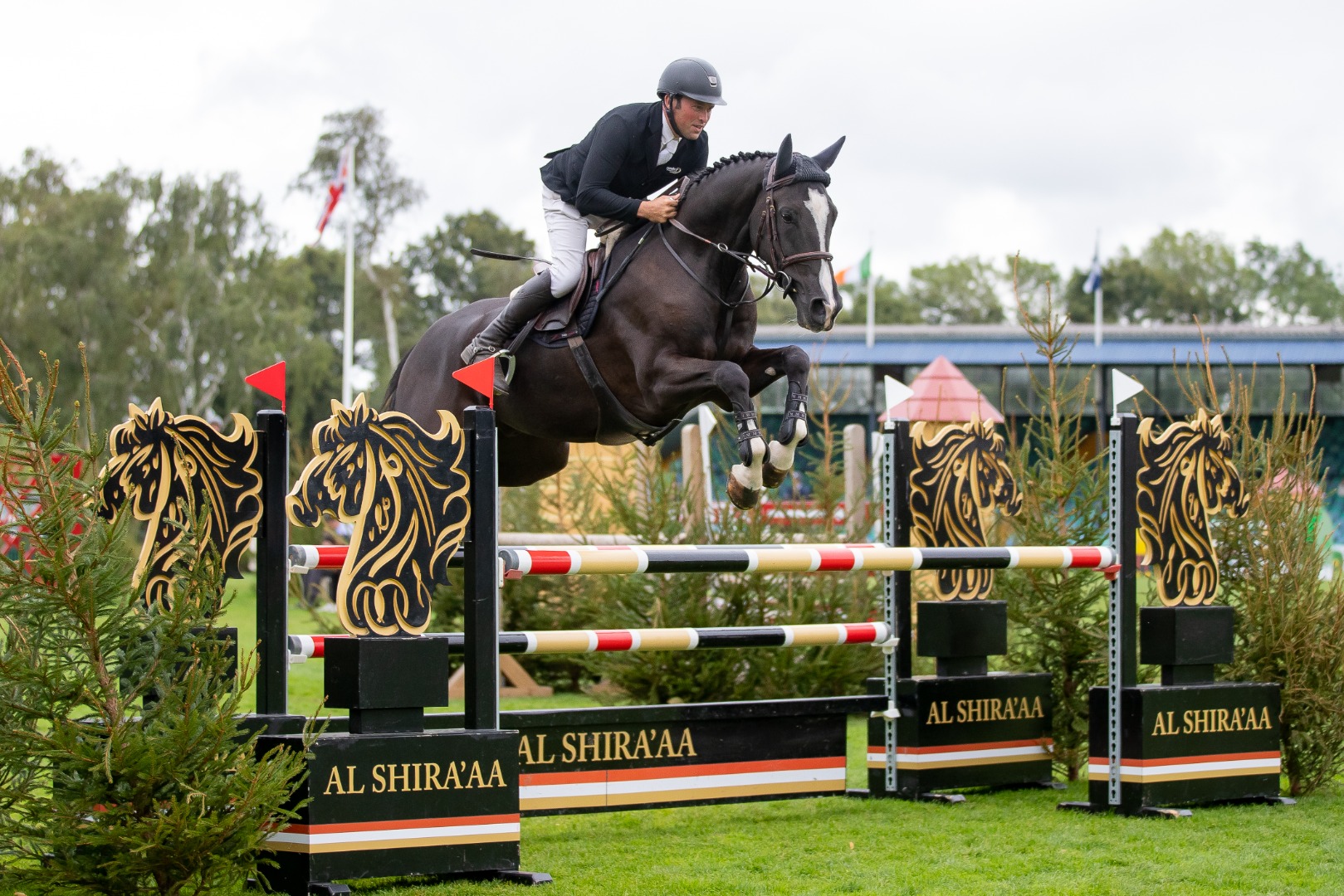 The Al Shira’aa All England Five Year Old Championship