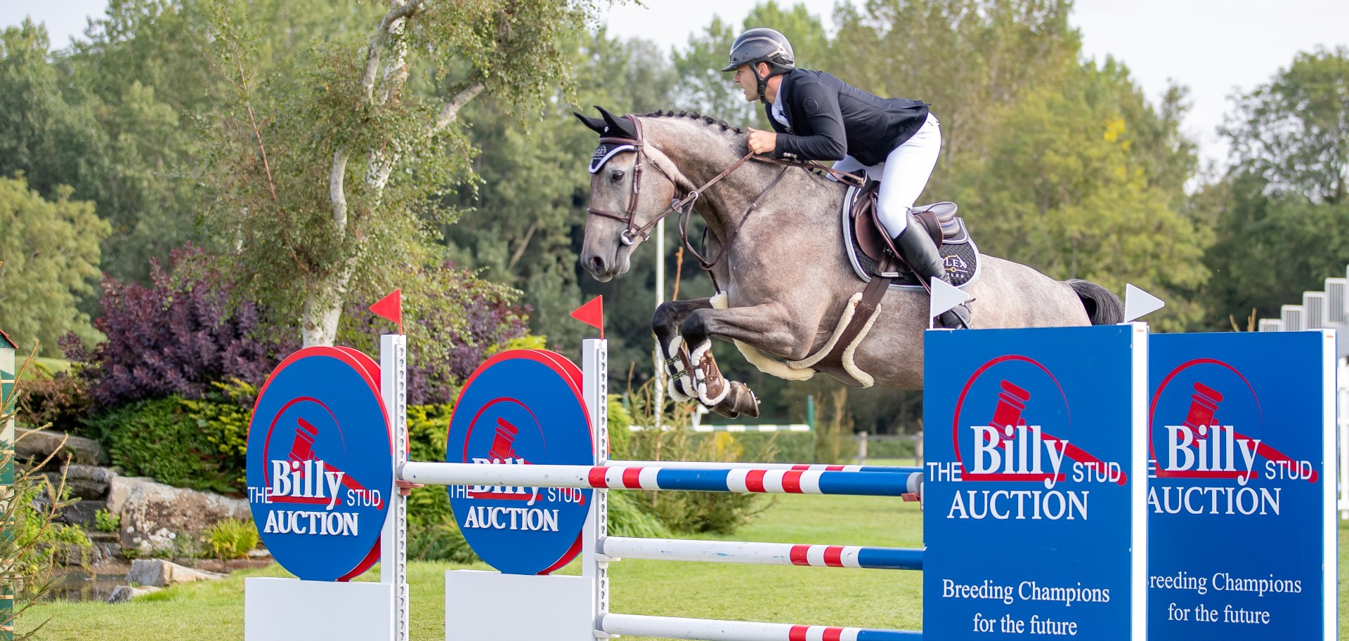 The Billy Stud Auction All England Novice Championship (week two)