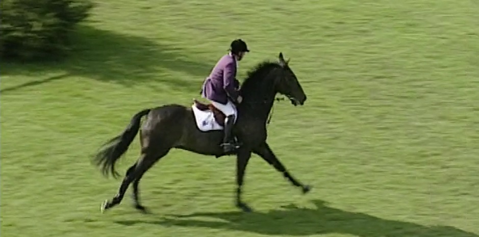 2000 Peugeot Derby - John Whitaker and Welham