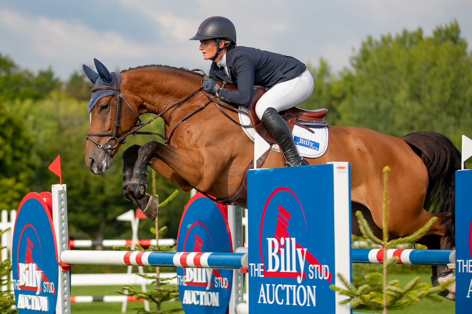 Jessica Burke & Billy Be Boss - The Billy Stud Auction 6 Year Old Star Of The Future