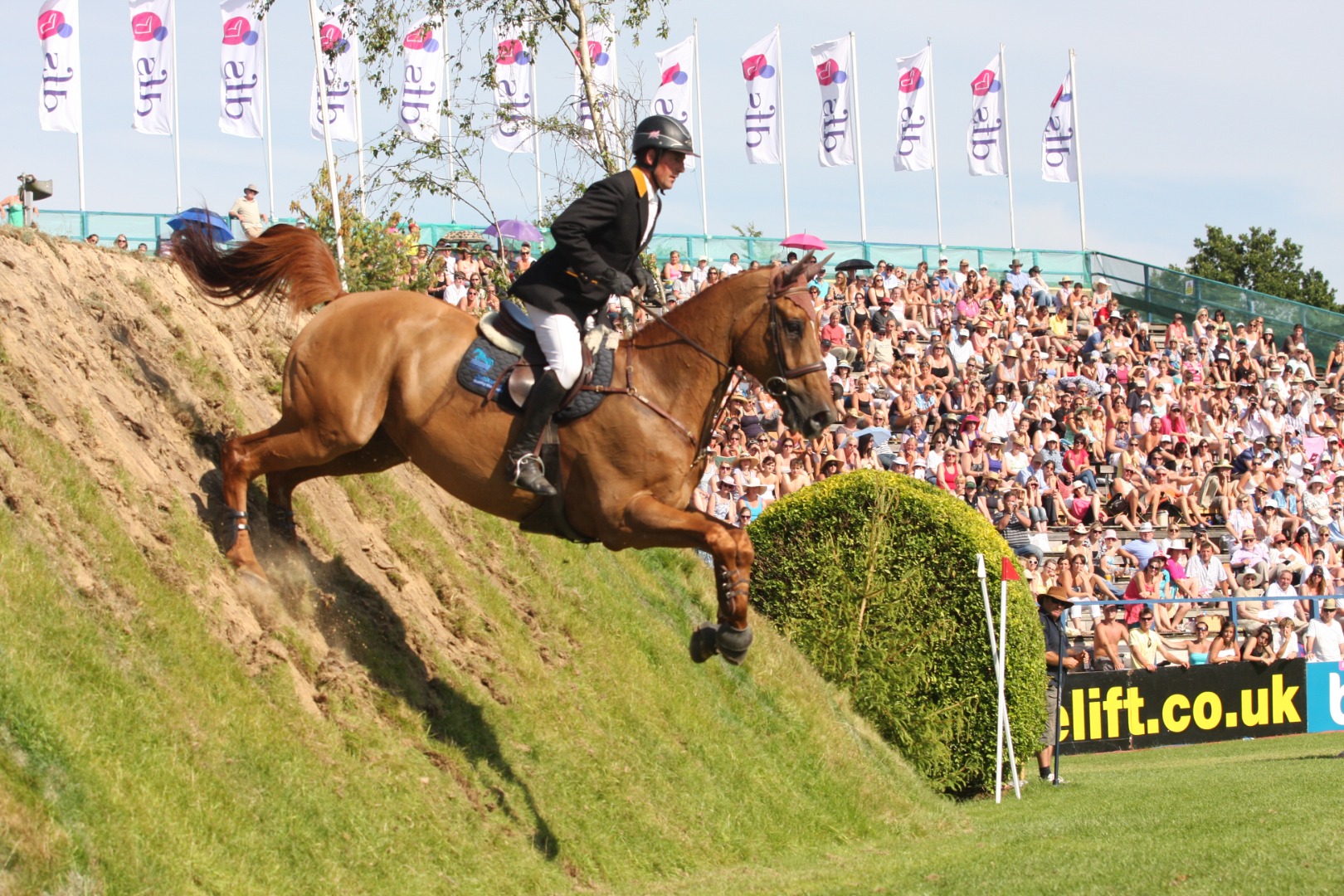 2010 DFS Derby - Guy Williams and Skip Two Ramiro