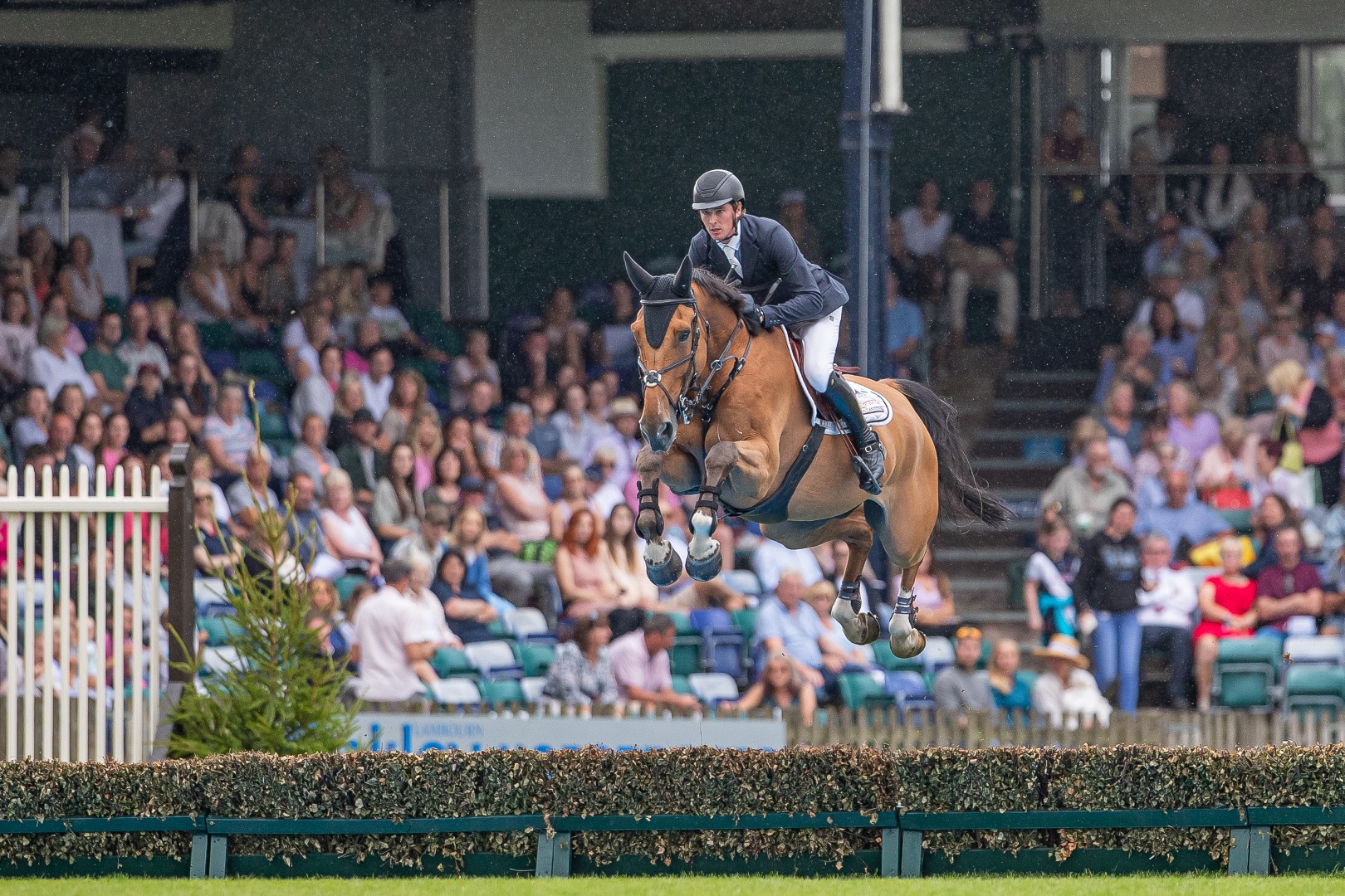 King George V Gold Cup - Watch the full class