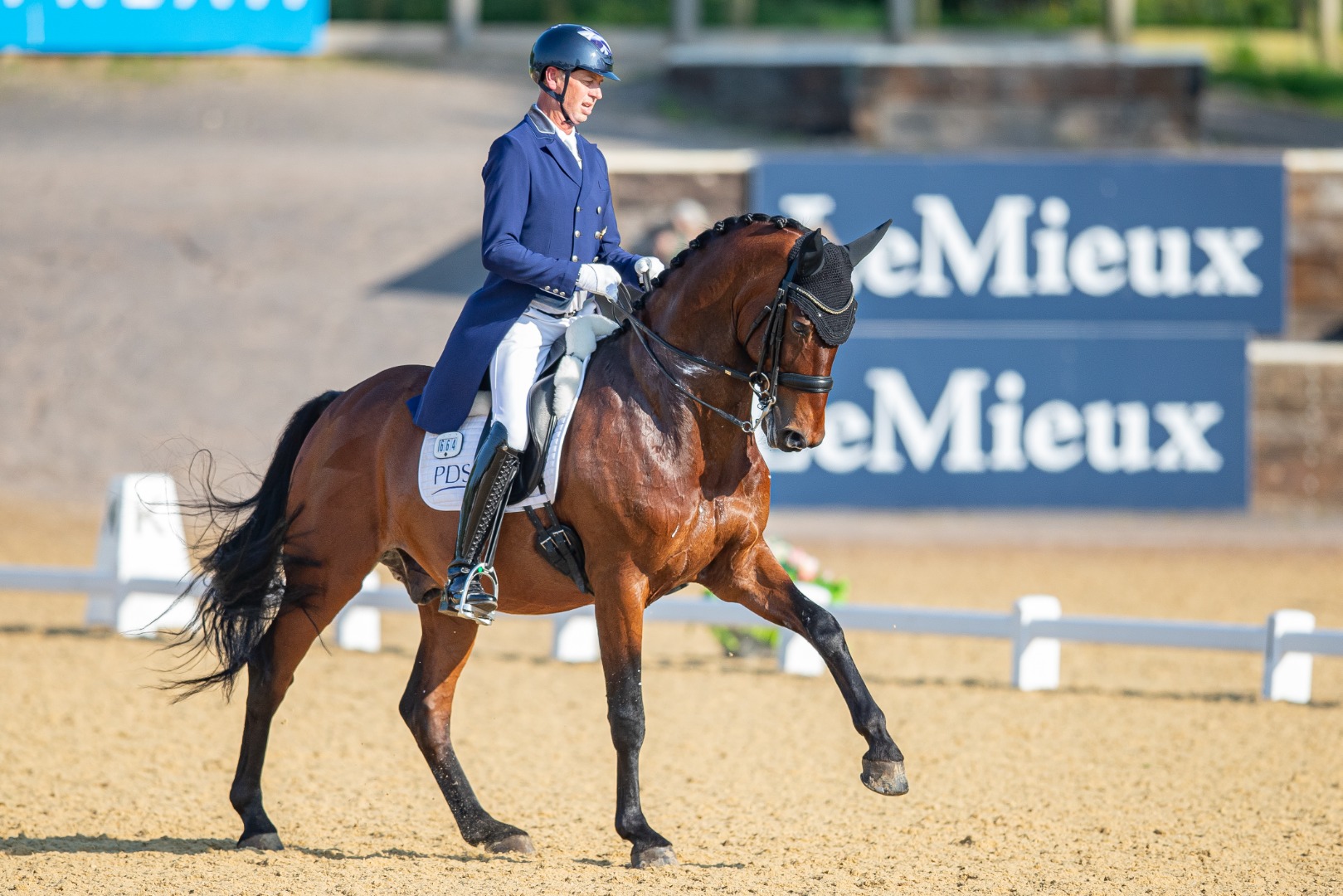 Carl Hester & Fame - CDI3* Grand Prix