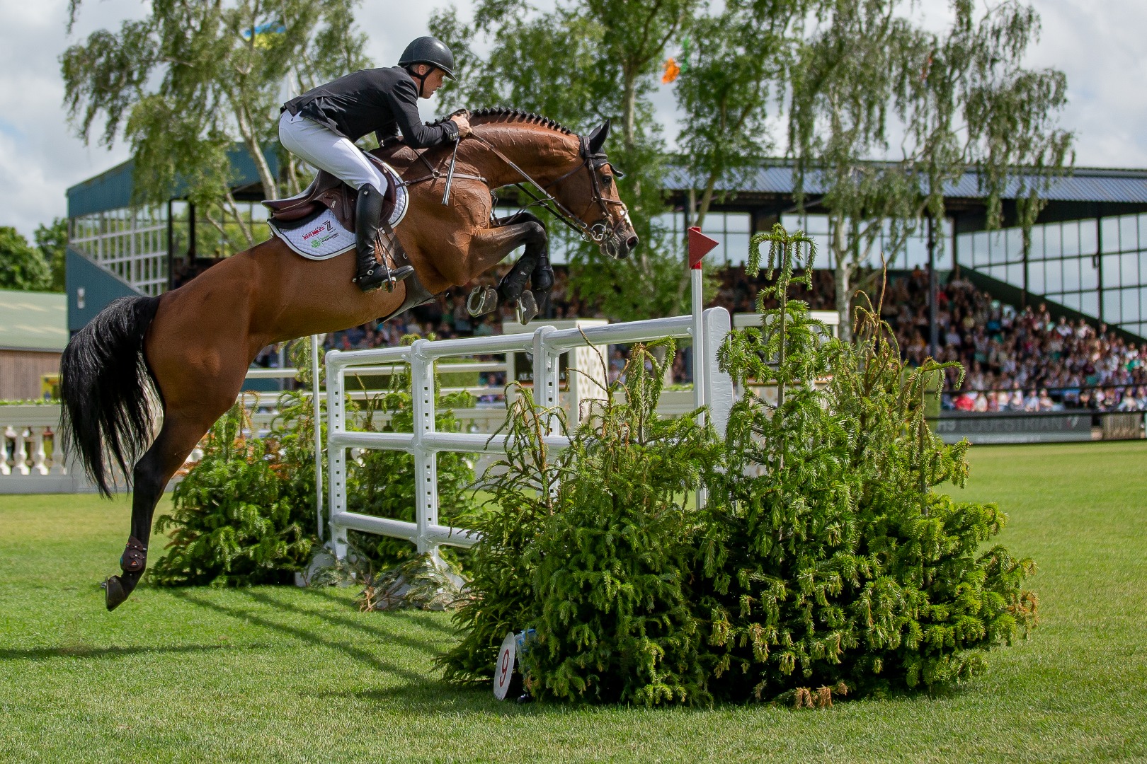 Shane Breen - Derby voice over