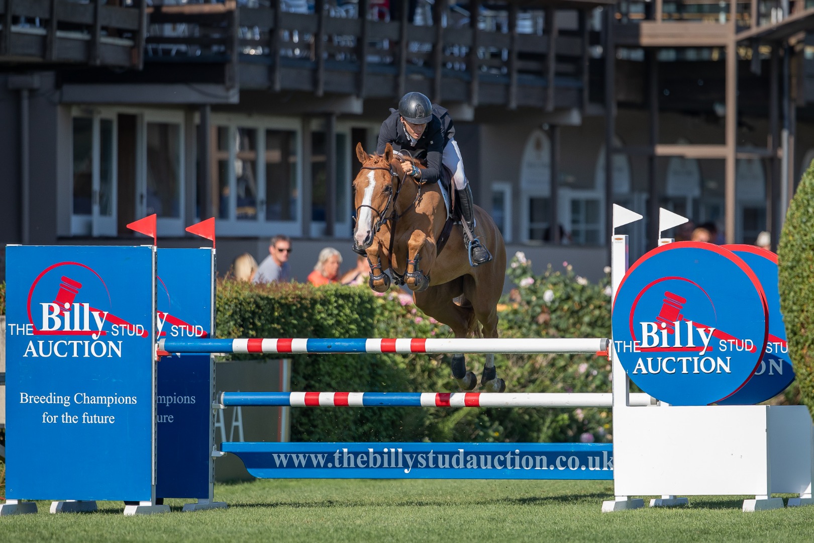 Billy Stud Auction 5yo Jumping Championship - Jack Nicklin & NFS Top Gun