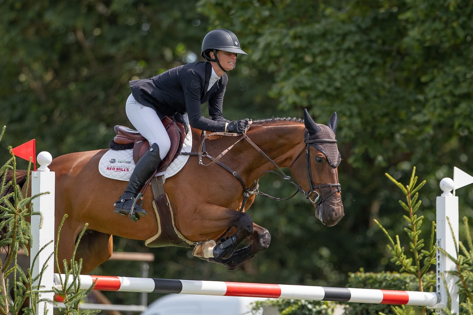 The SEIB BS Winter Novice Championship 2023 - Katie Speller & BE Warnham