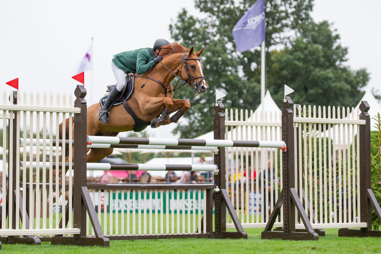 Royal International Vase 2023 - Francesco Turturiello & Happiness