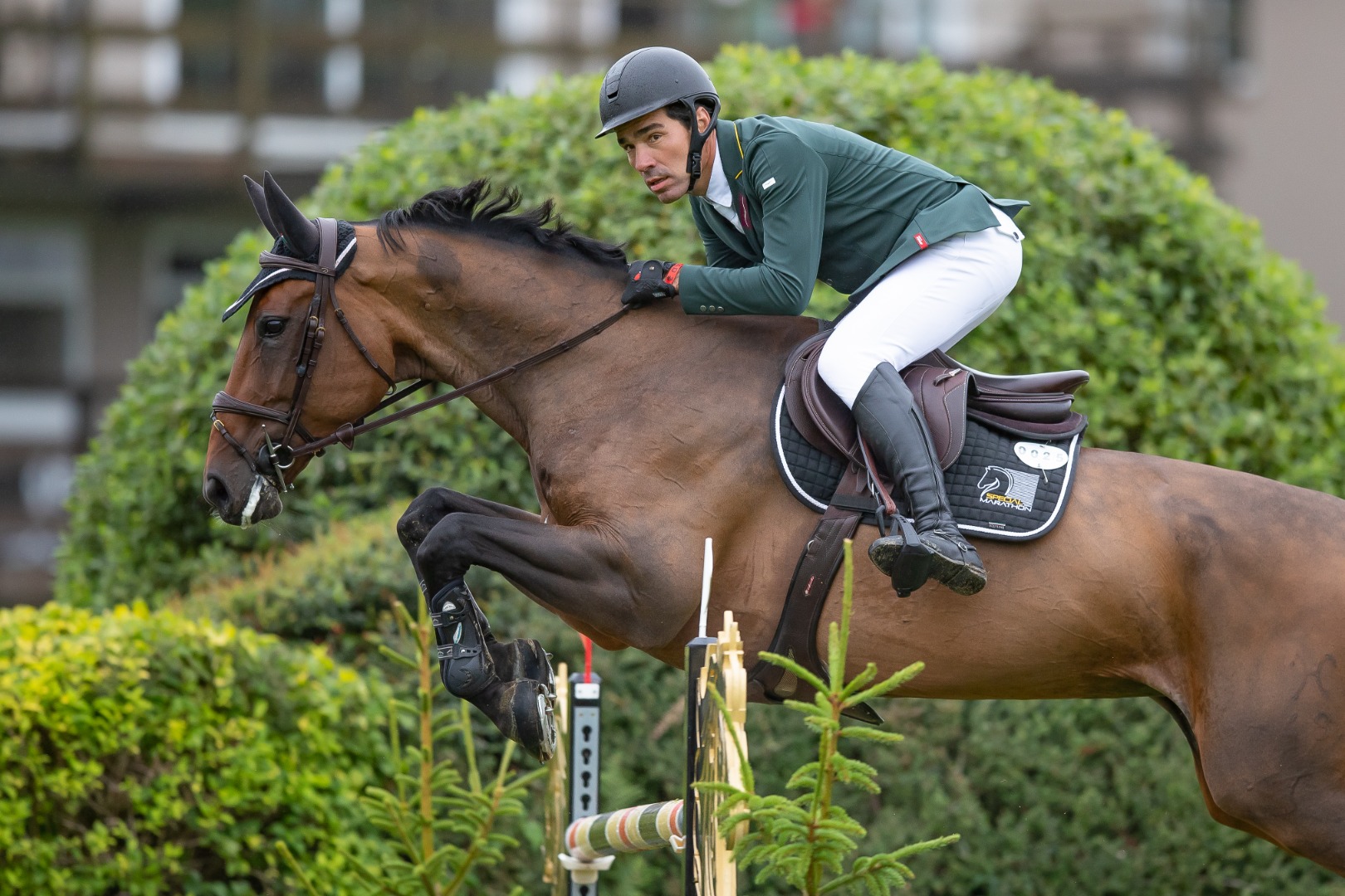 The Royal International Trophy 2023 - Francisco Jose Mesquita Musa & Catch Me Marathon