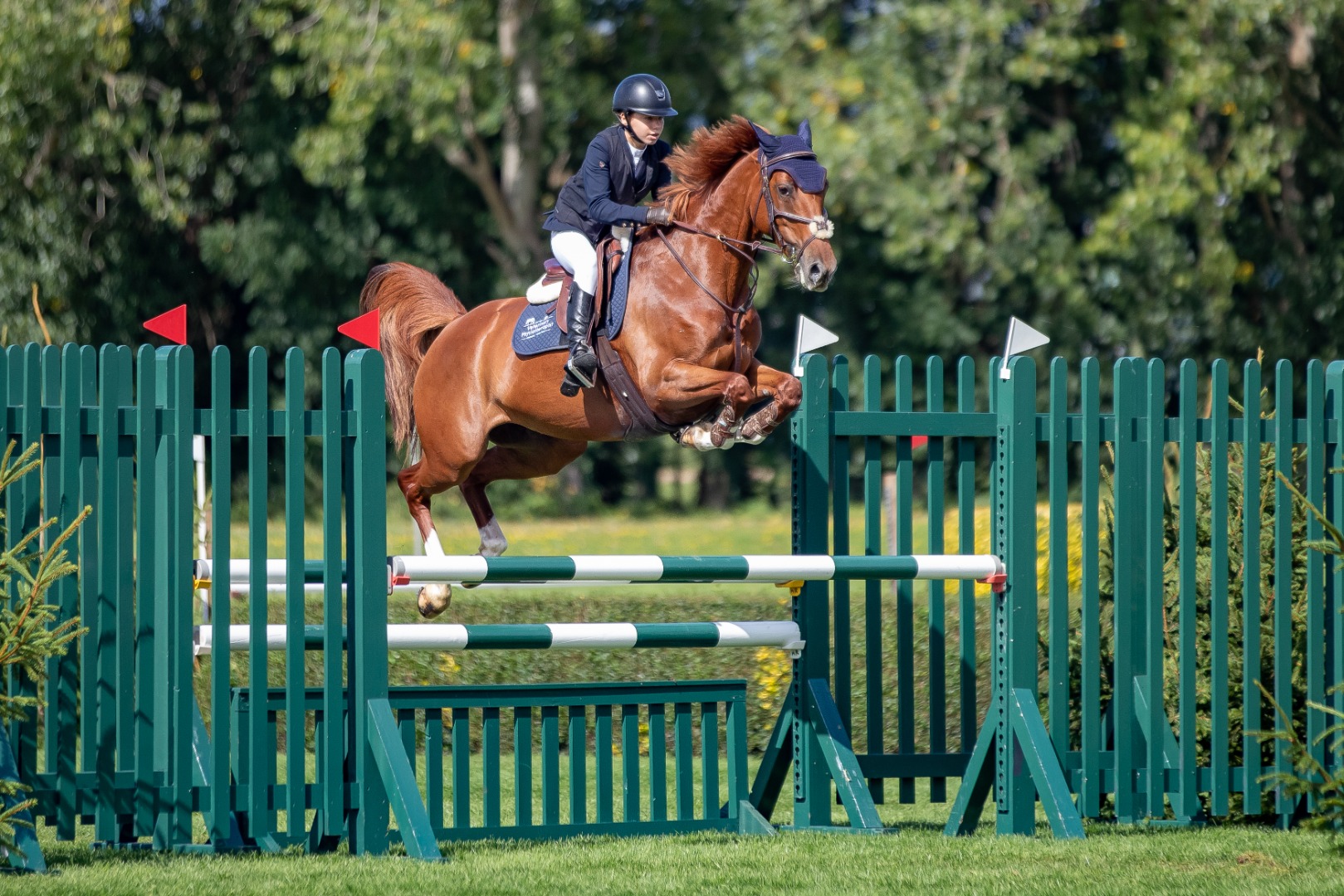 Lottie Adams & Evotion - The Go Low Carbon 1.10m Amateur Championship