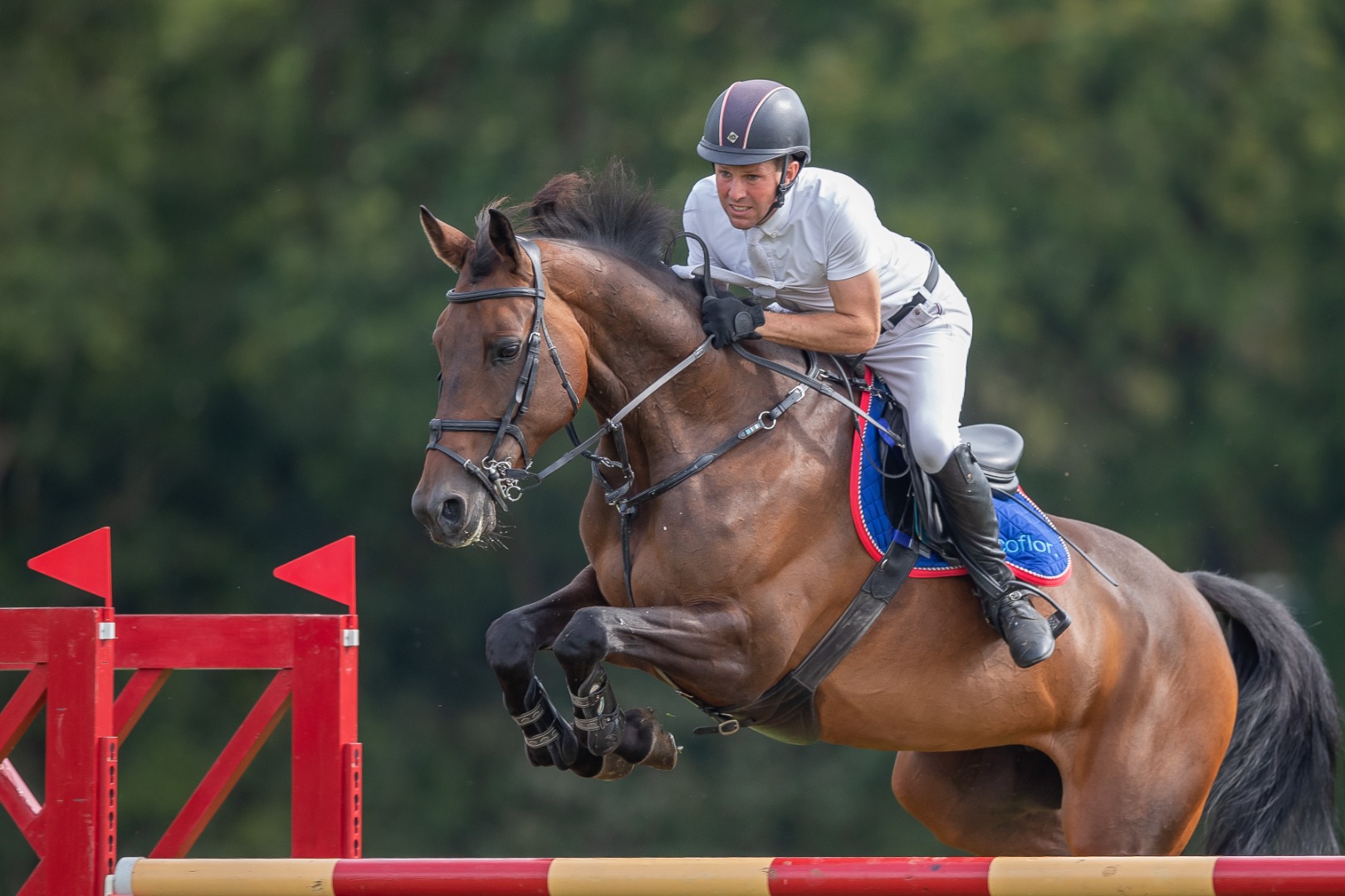 Mark Edwards & Royale Tale - The Breen Equestrian All England 1.40m Open