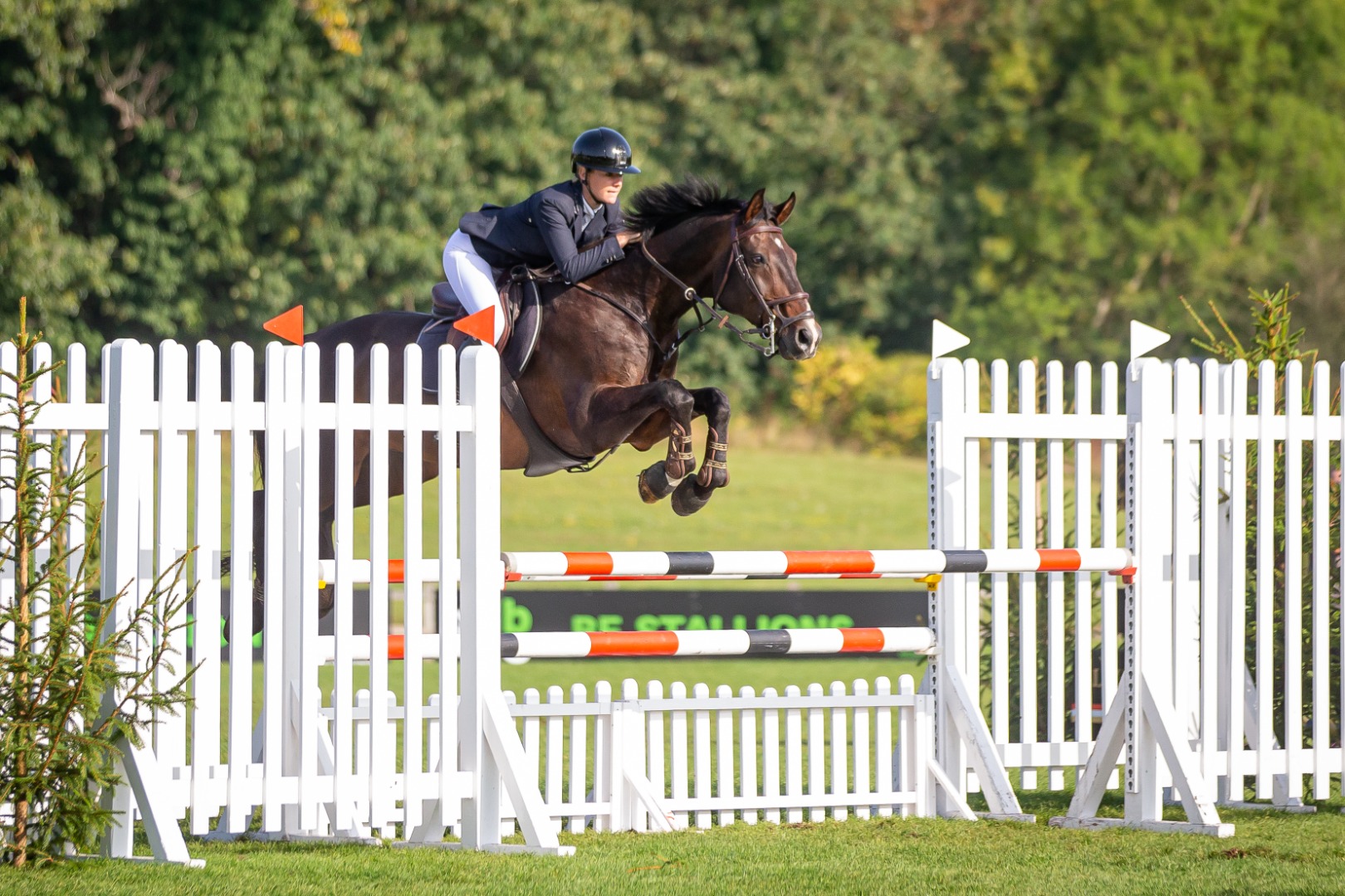 Millie Dickinson & Cairo Z II - The All England 1.10m Amateur Championship