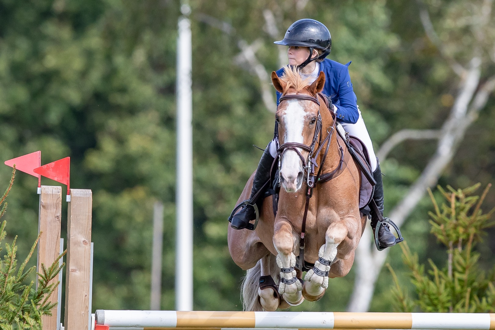 Eve McCoy & Cocktail D'Azur - Stoner Jewellers All England 1.20m Open Championship