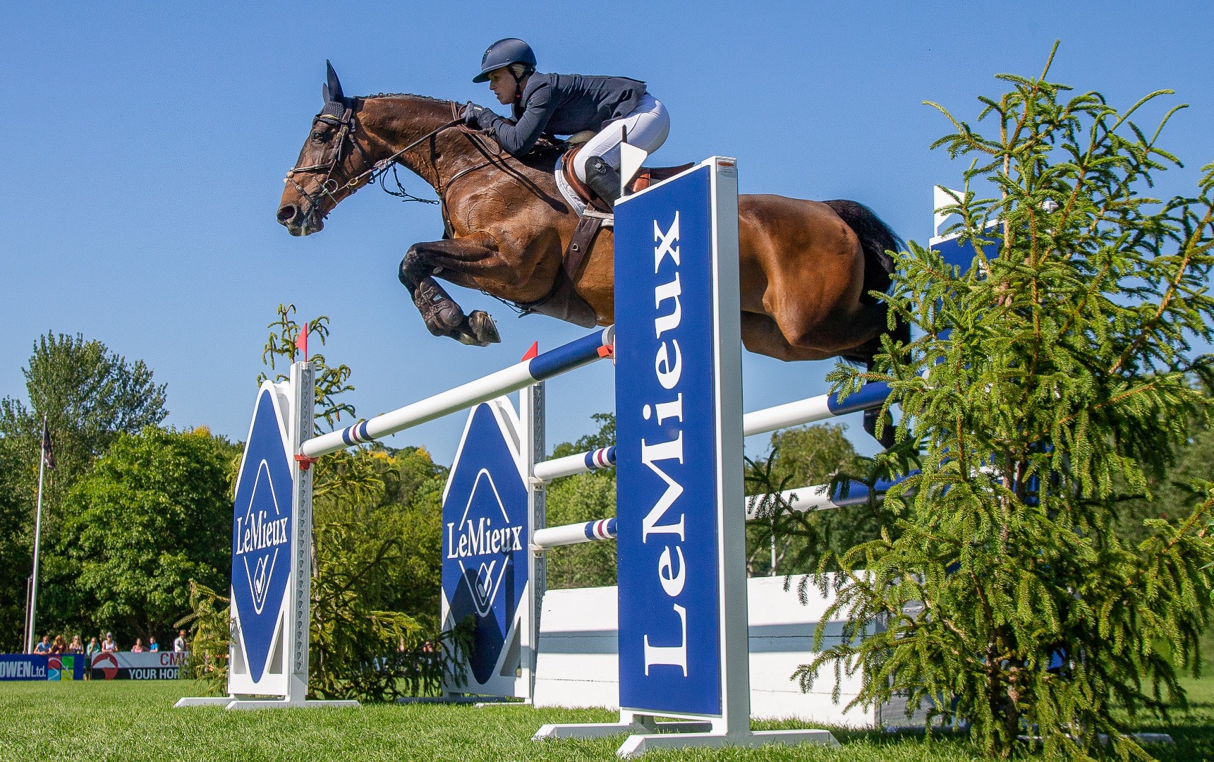 British Speed Derby - Full class