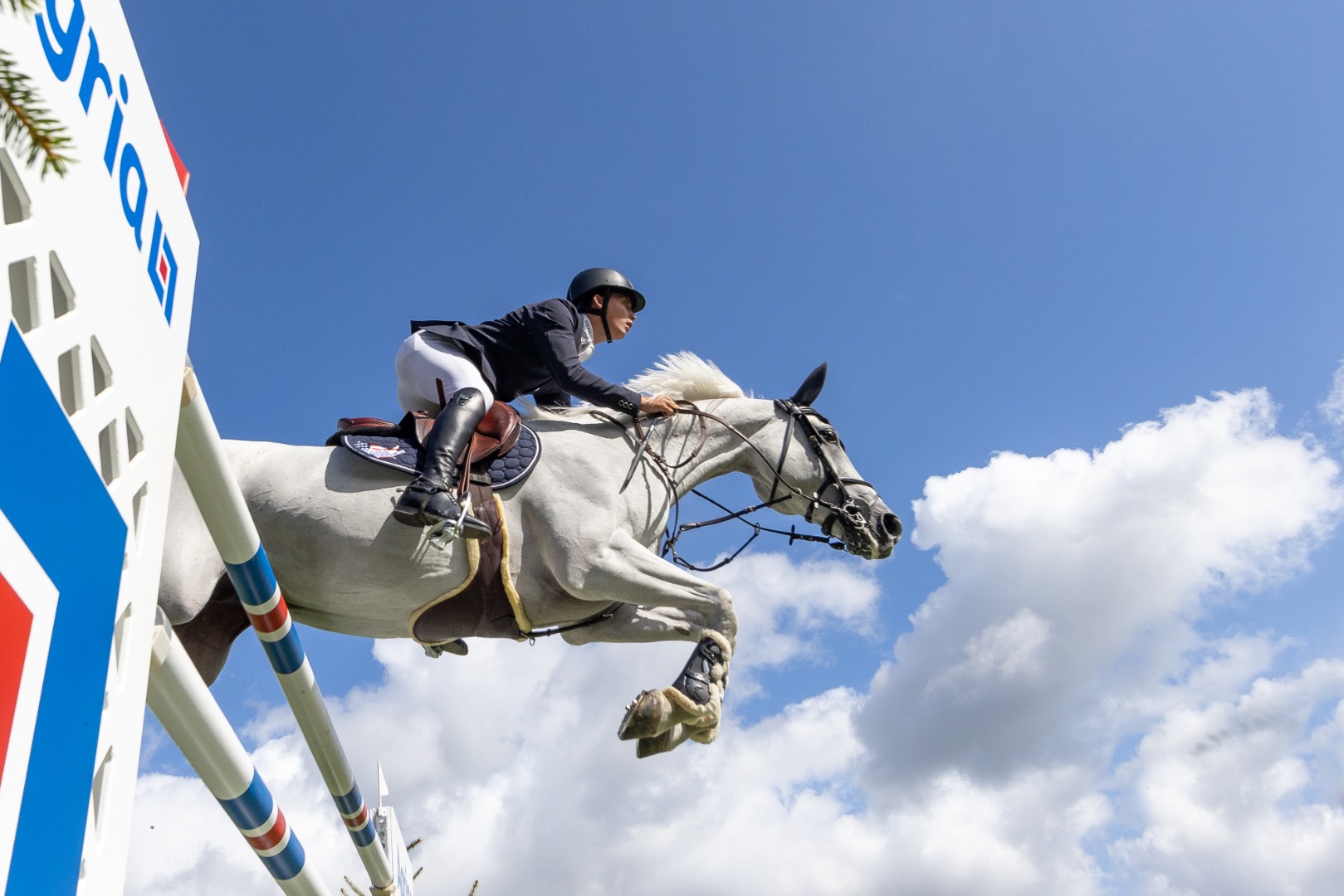 The Queen Elizabeth II Cup 2023