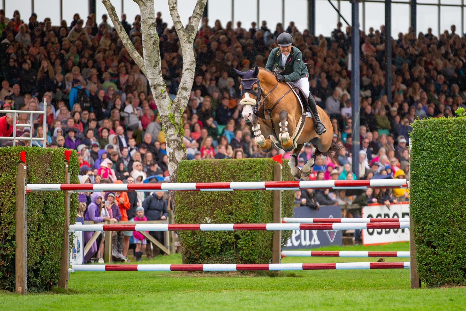 King George V Gold Cup 2023