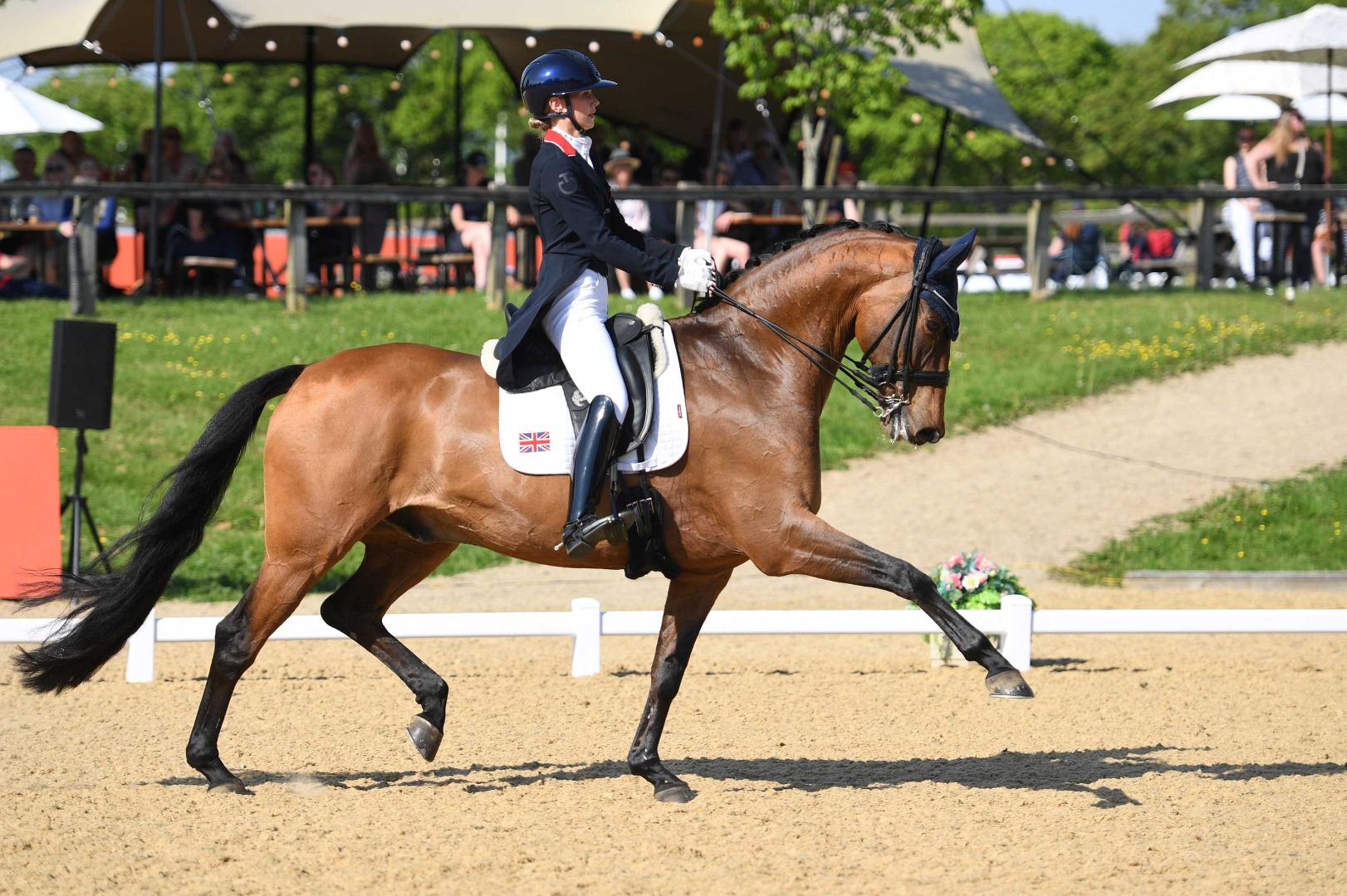 Annabella Pidgely & Vamous Amigos - ICE Horseboxes Under 25 Inter II