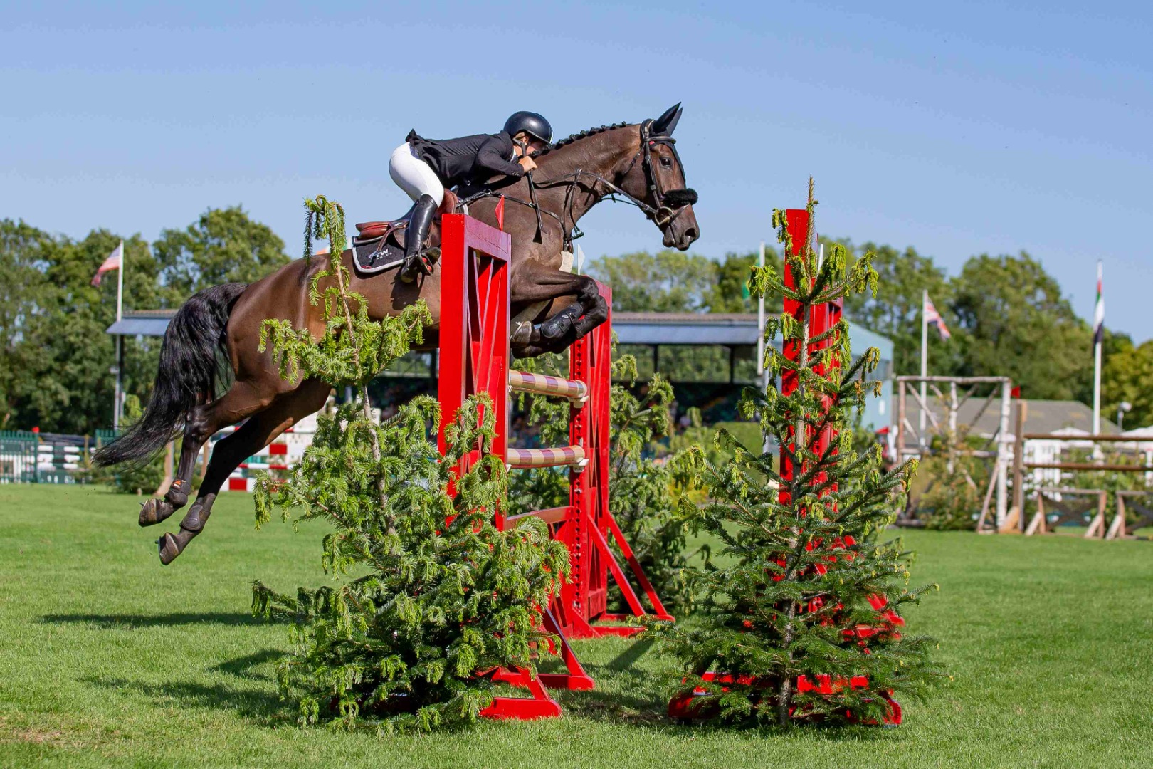 The Plumpton Racecourse Derby Two Phase- Nicole Lockhead Anderson & Mecoblue PS