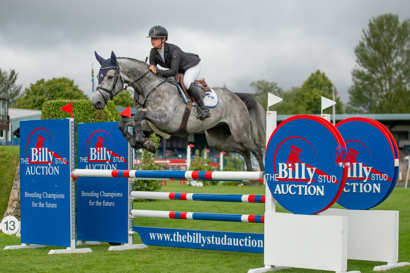 The Billy Stud Auction British 5yo Jumping Championship - Nicole Lockhead Anderson & Chasalino PS