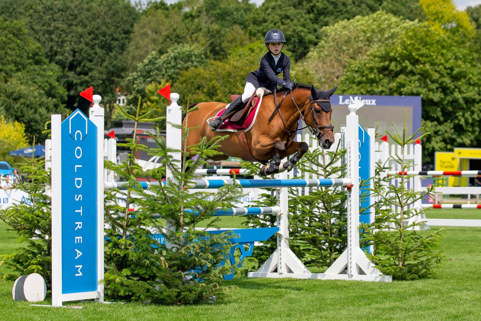 Amy Capper & Playboy Van De Zoetewei - Coldstream Equestrian BS Winter 138cms Championship
