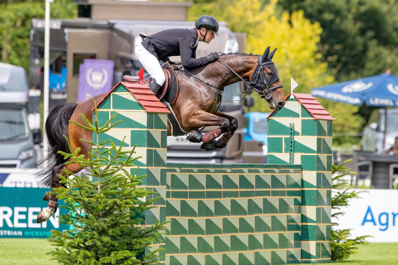 Adam Taylor & Basingwerk Imagine - SEIB BS Winter Novice Championship