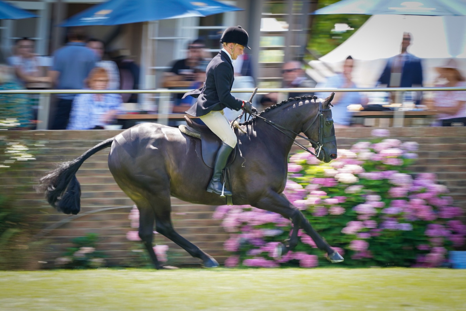 Sunday showing highlights