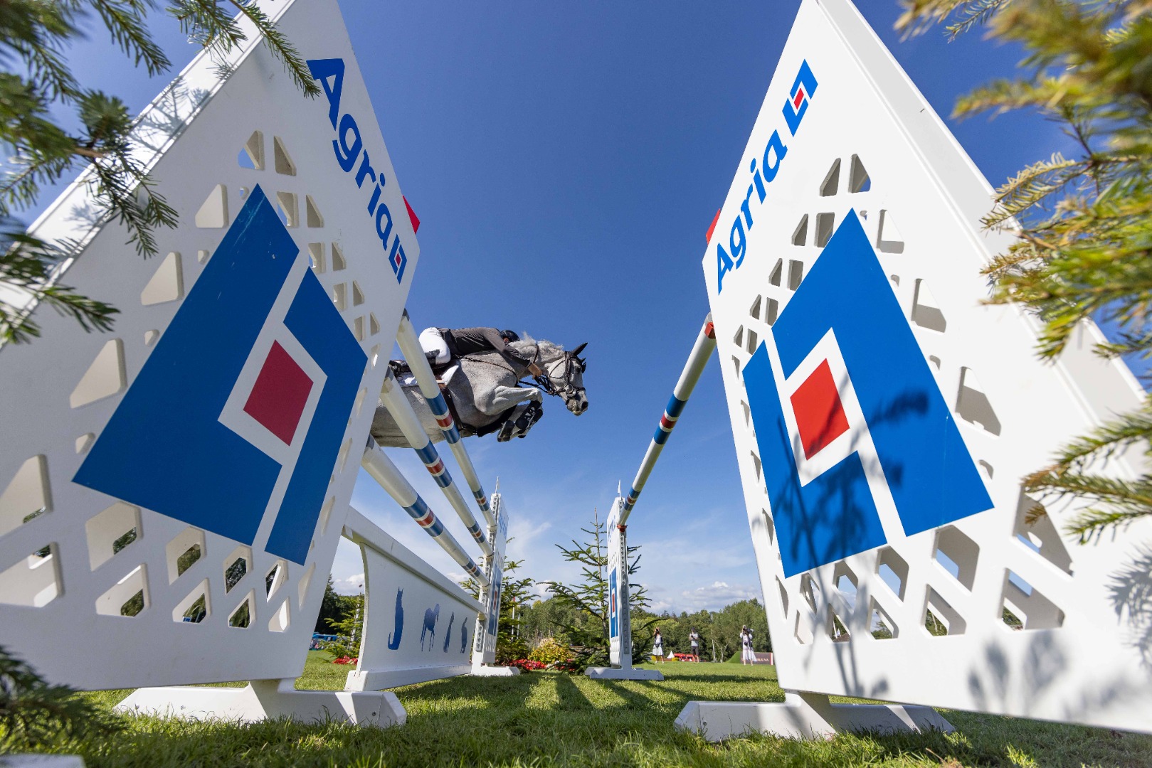 King George V Gold Cup highlights