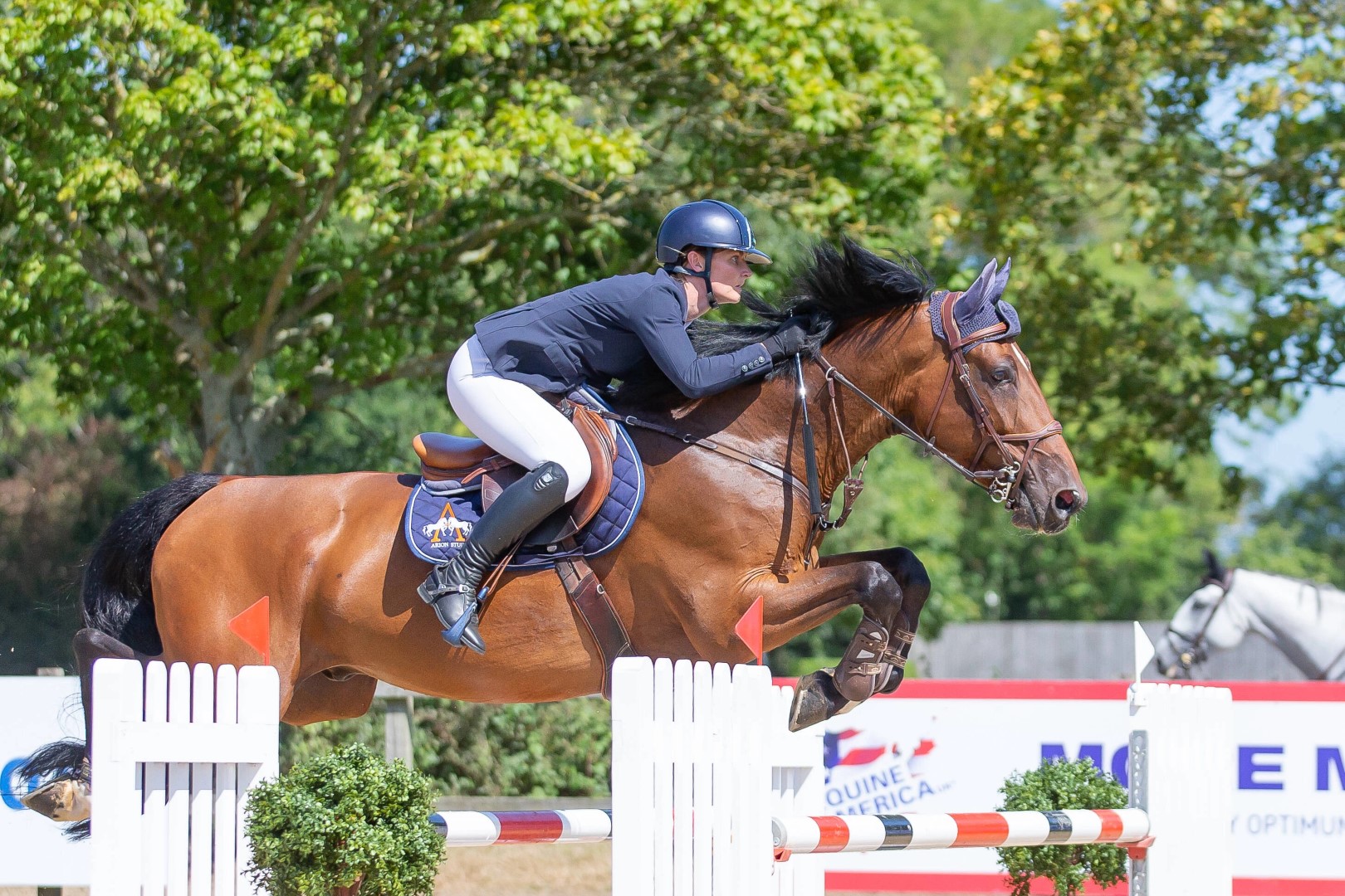 Breen Equestrian Seven Year Old Final 2024