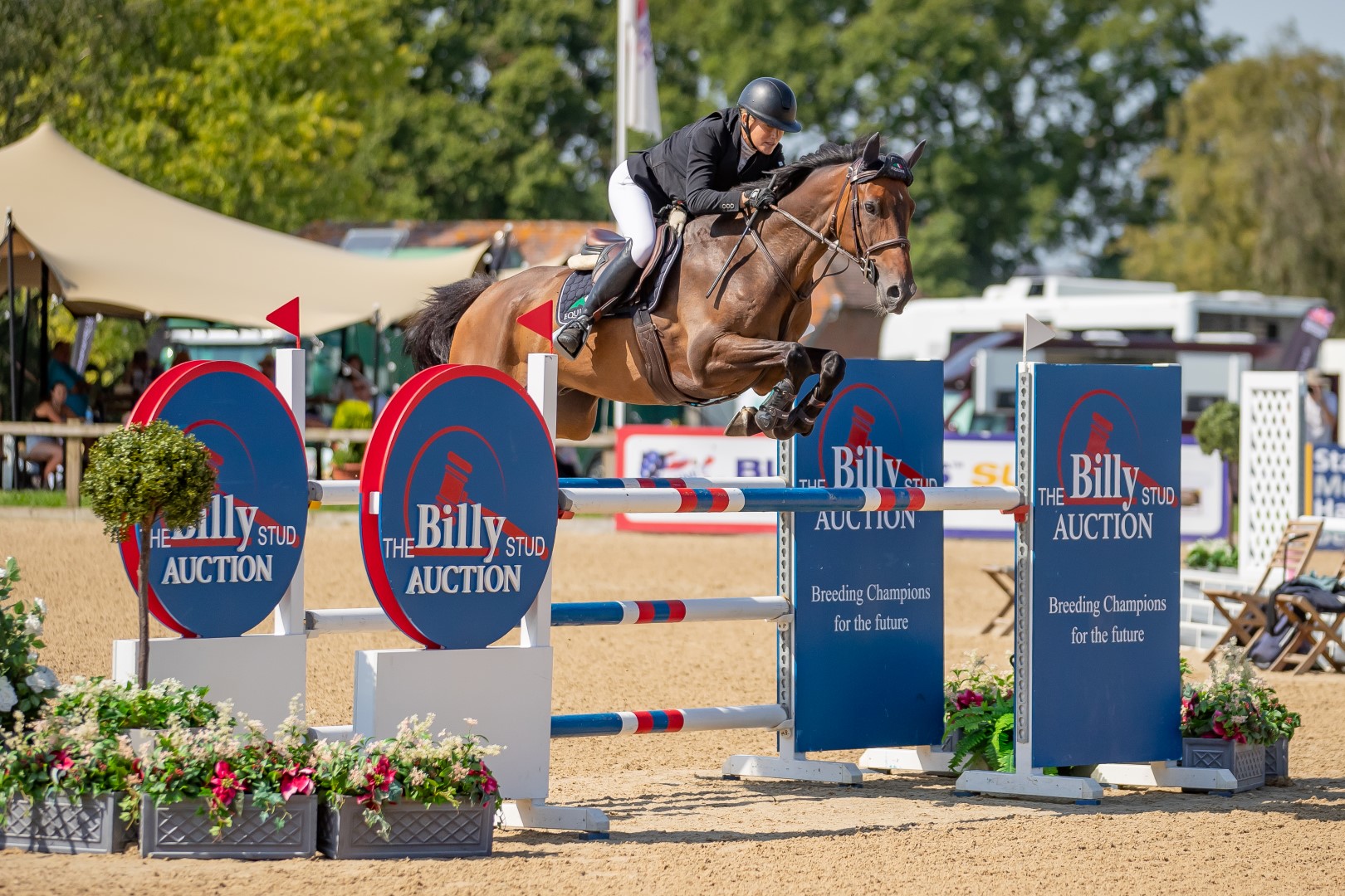 The British Young Horse Championships 2024