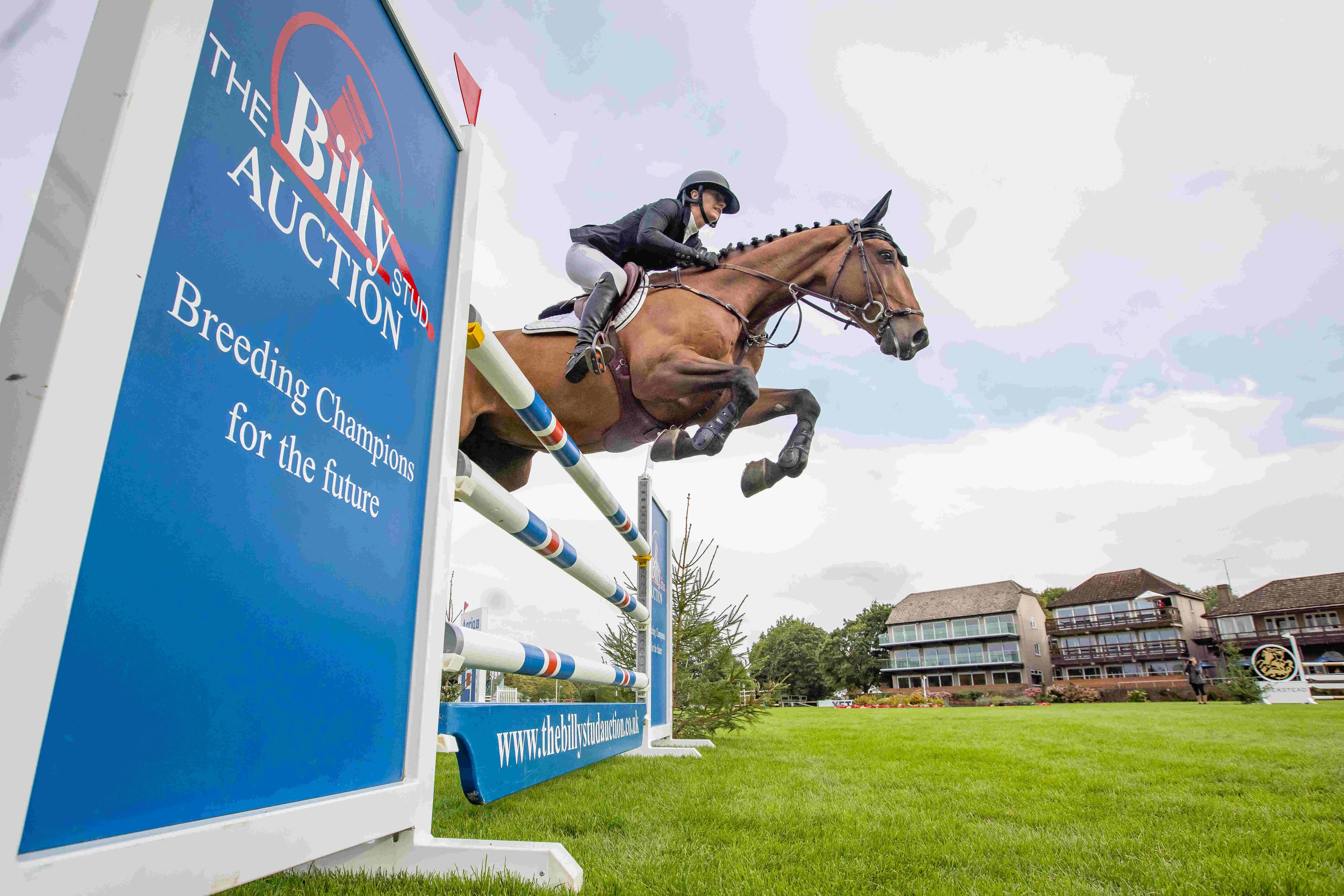 Billy Stud Auction 6 Year Old Star of the Future