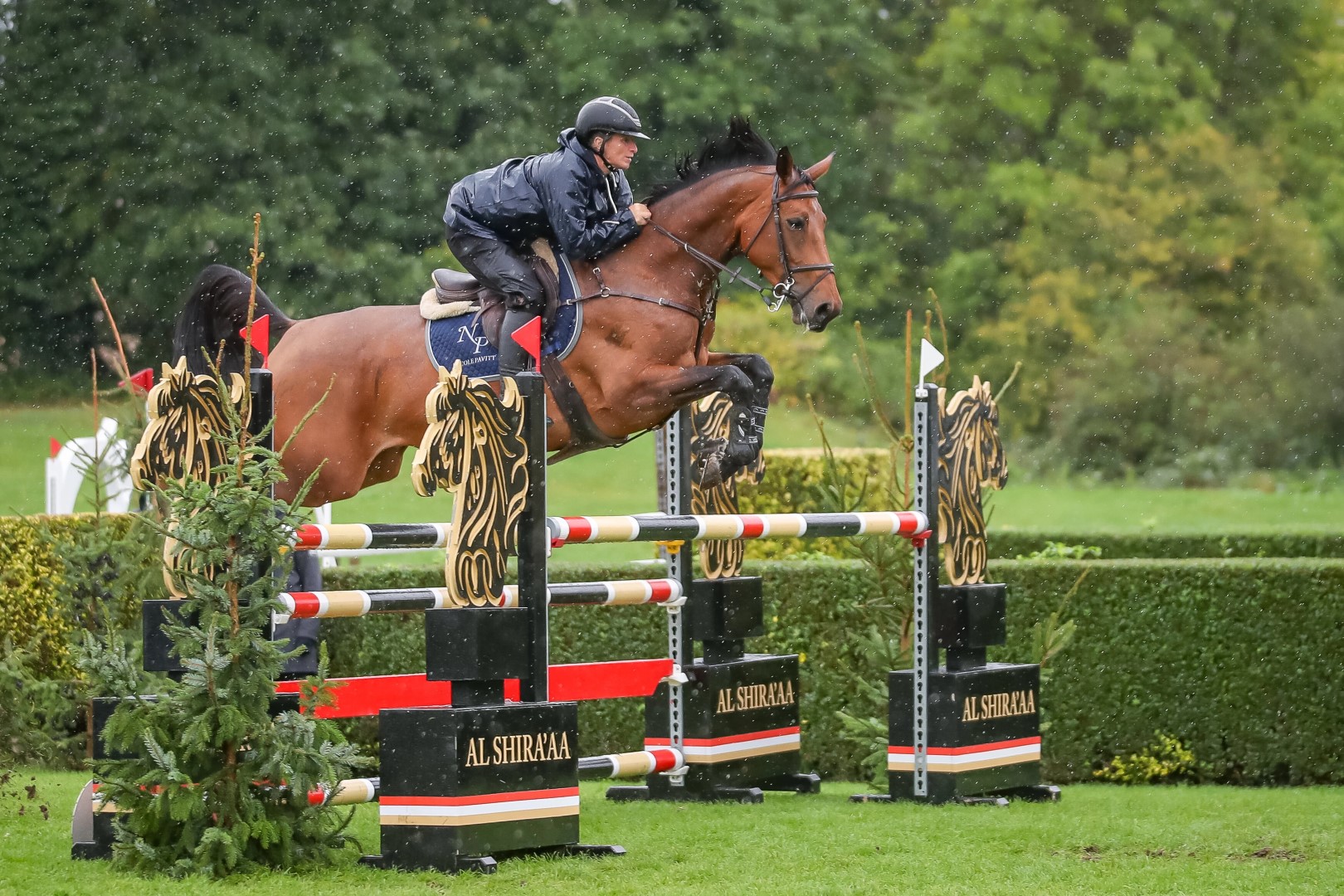 The Billy Stud All England Six Year Old Championship