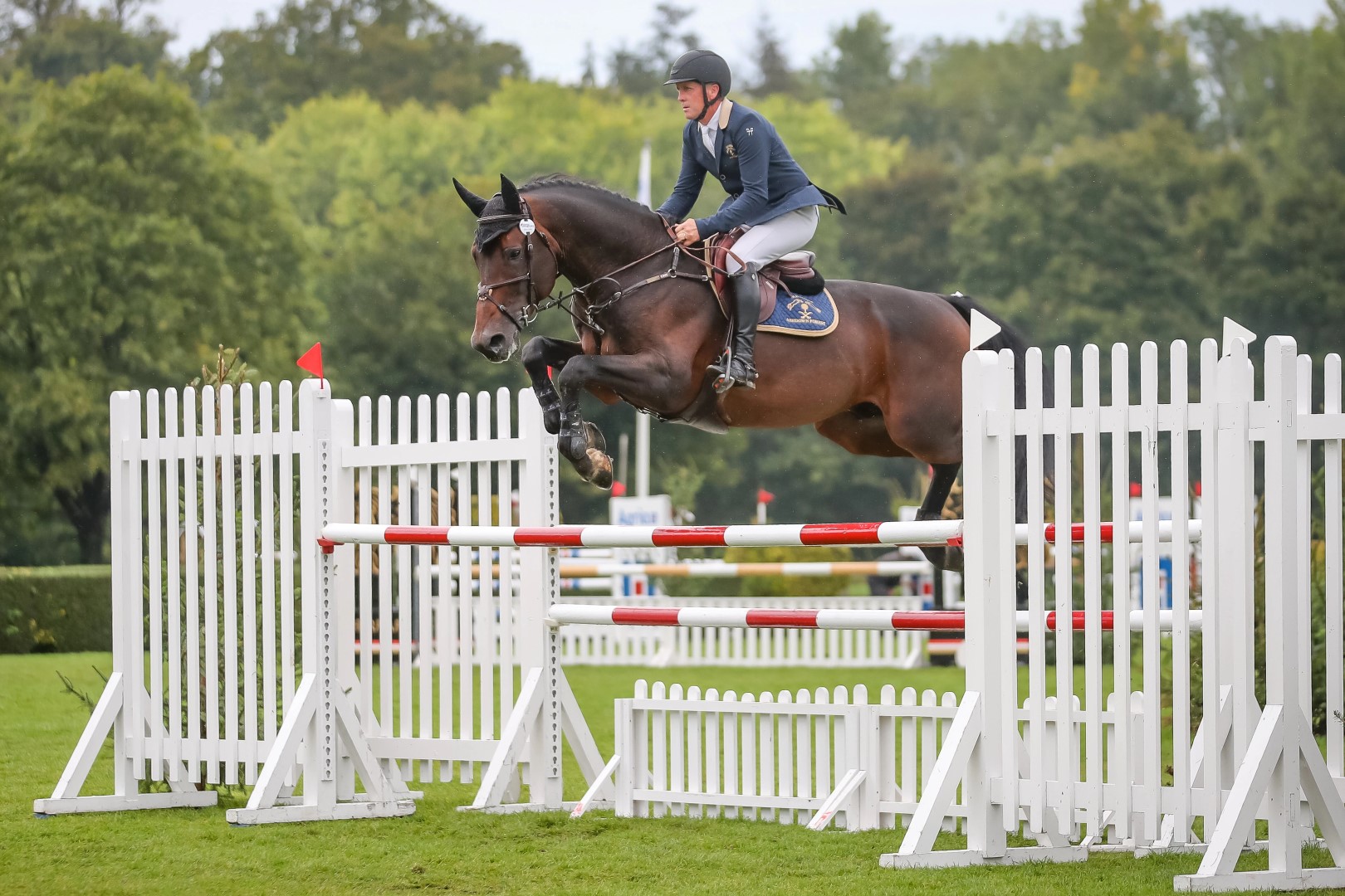 The All England Seven Year Old Championship