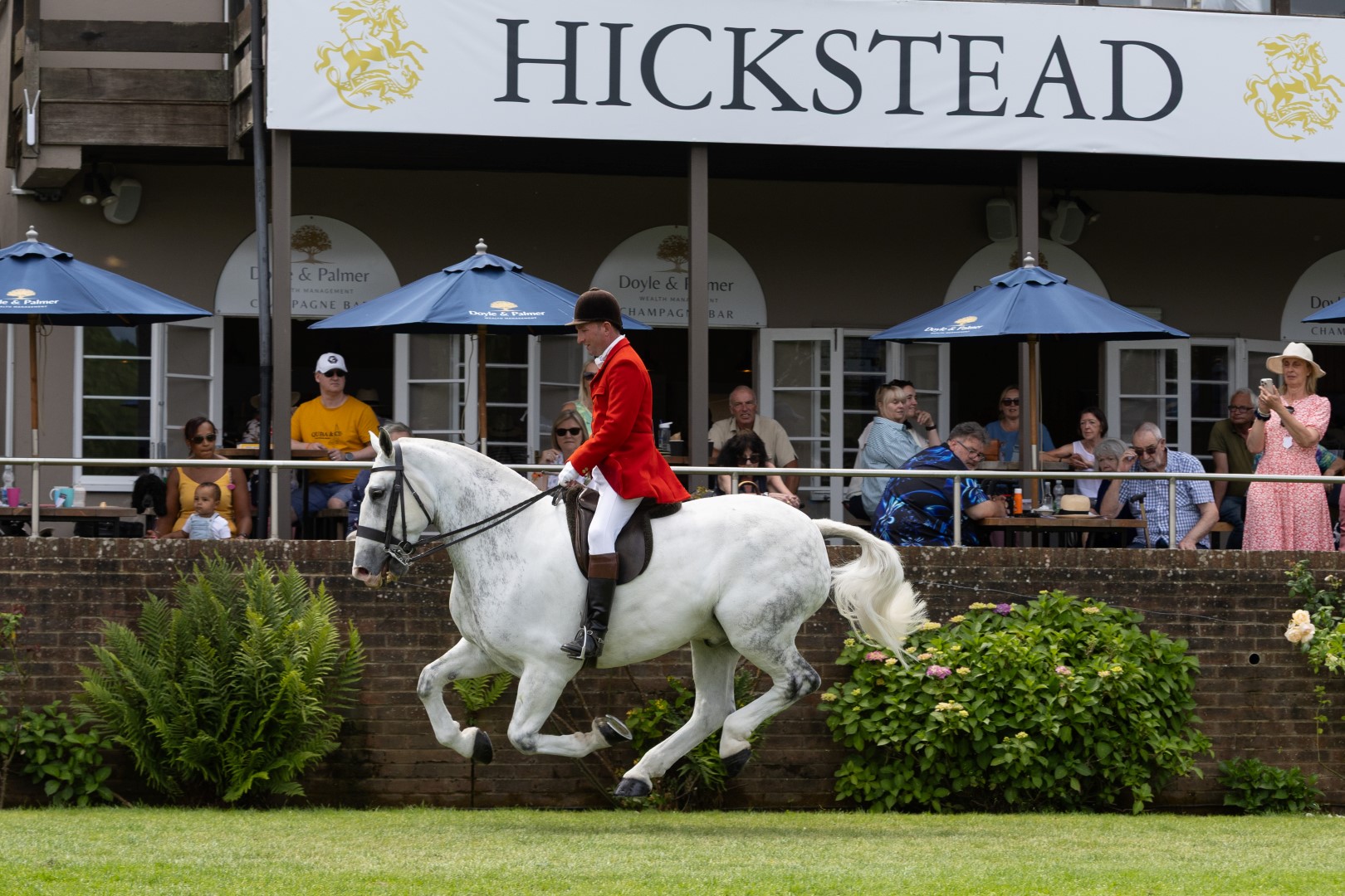 The Cob and Hack Championships 2025 Highlights