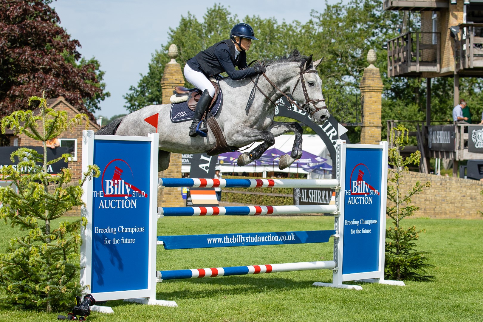 The Billy Stud Auction British Six Year Old Jumping Championship 2025