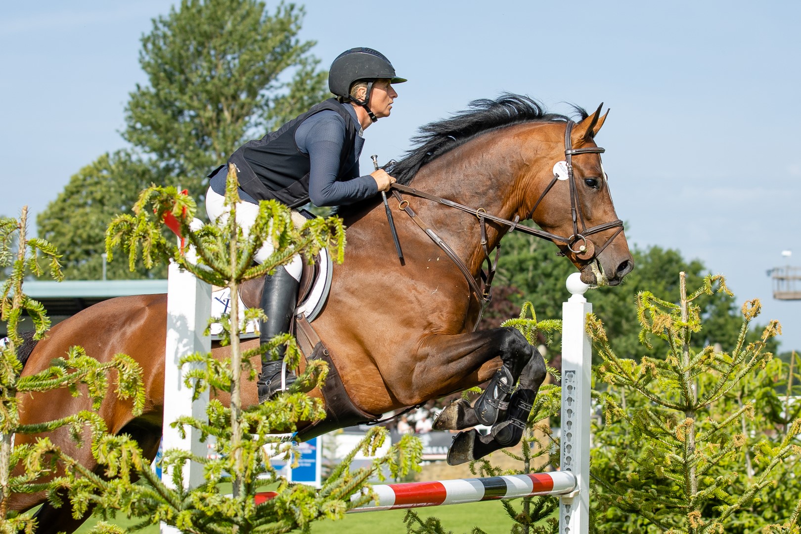 The Billy Stud Auction British Five Year Old Jumping Championship 2025 