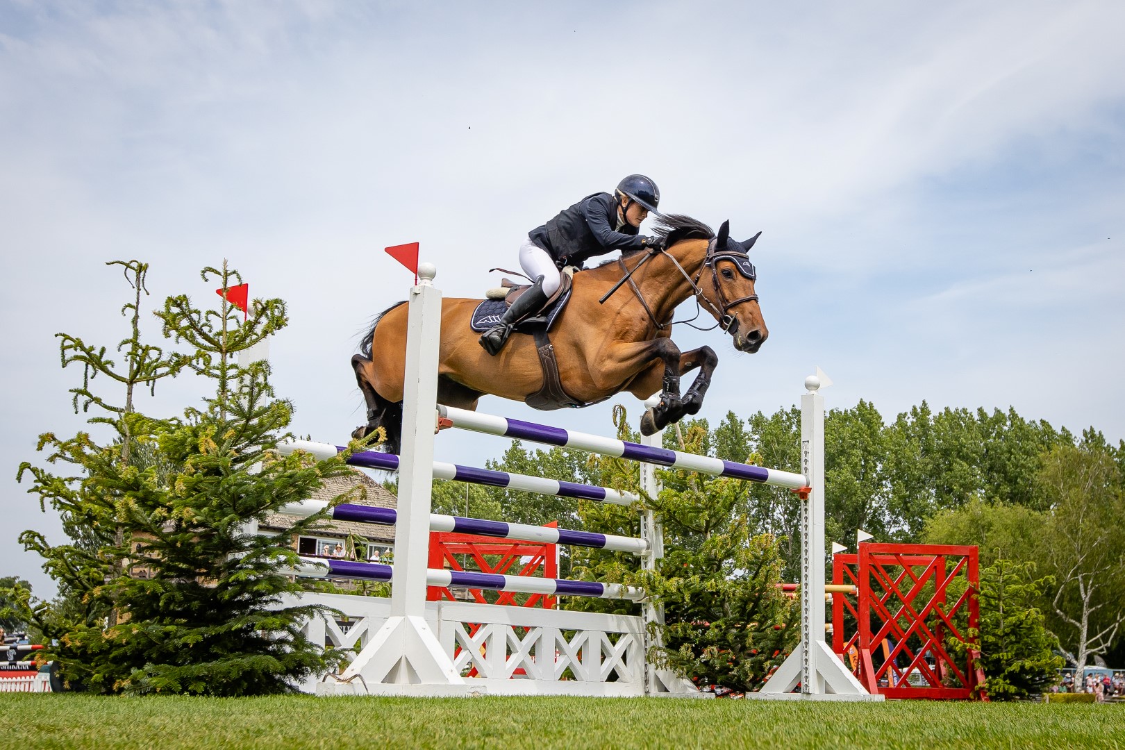 The Breen Equestrian Beethoven 7&8 Year Old Championship Winner 2025