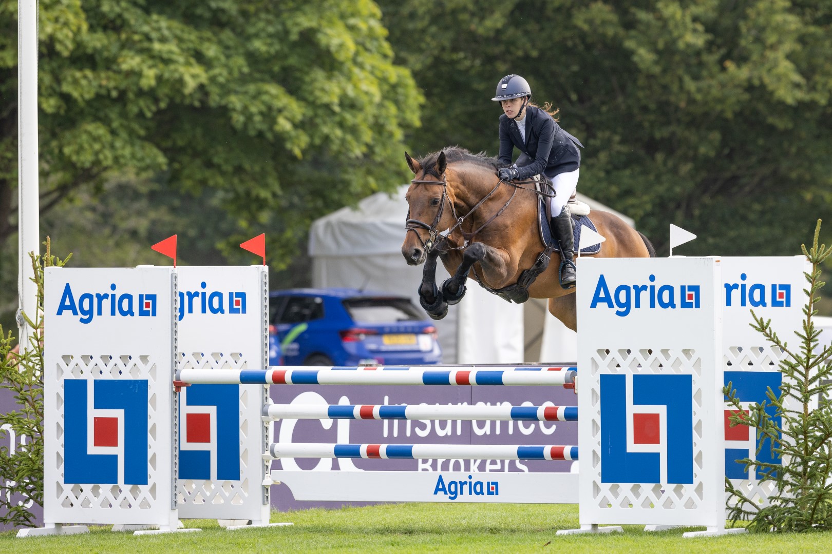 The Irish Horse Board Amateur Championship- Bryony Jones and Billy Kvitfjell
