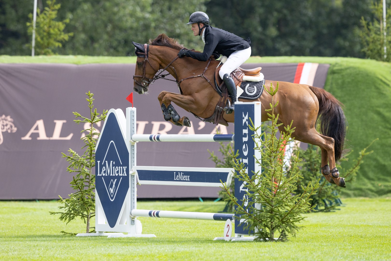 The Brilliance Horse Auction Salver- James Smith and Juno Rose 23