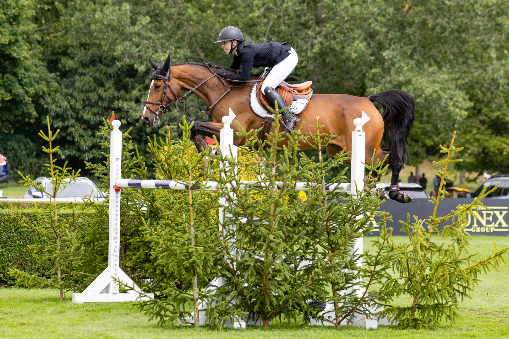 The ClipMyHorse.TV International Stakes -Millie Allen and Quick Diamant HR