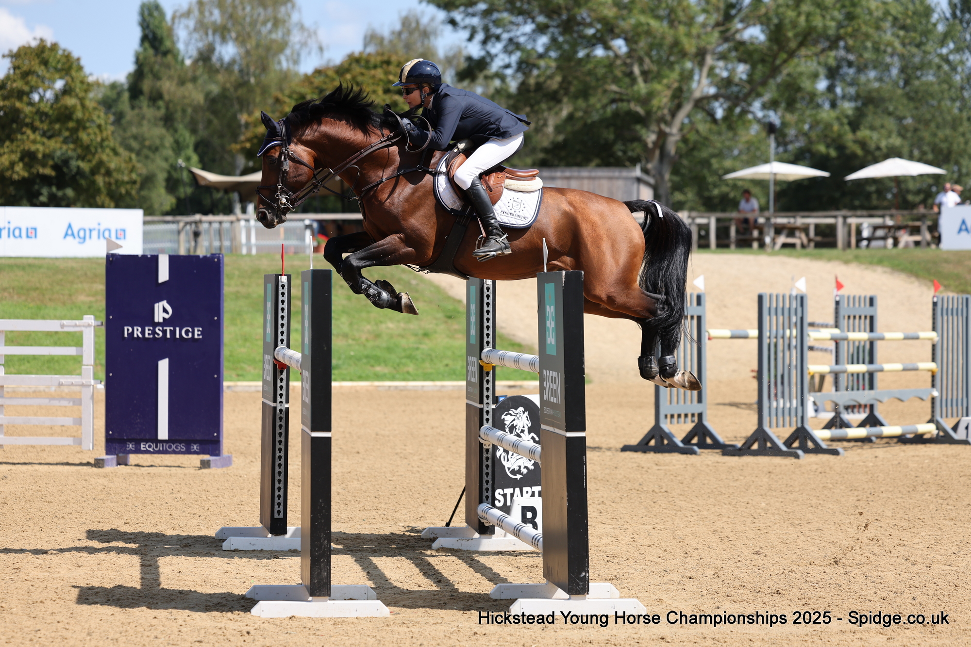 Carron Nicol and Dolomite Z - Breen Equestrian British 7-yr old Championship 2Q
