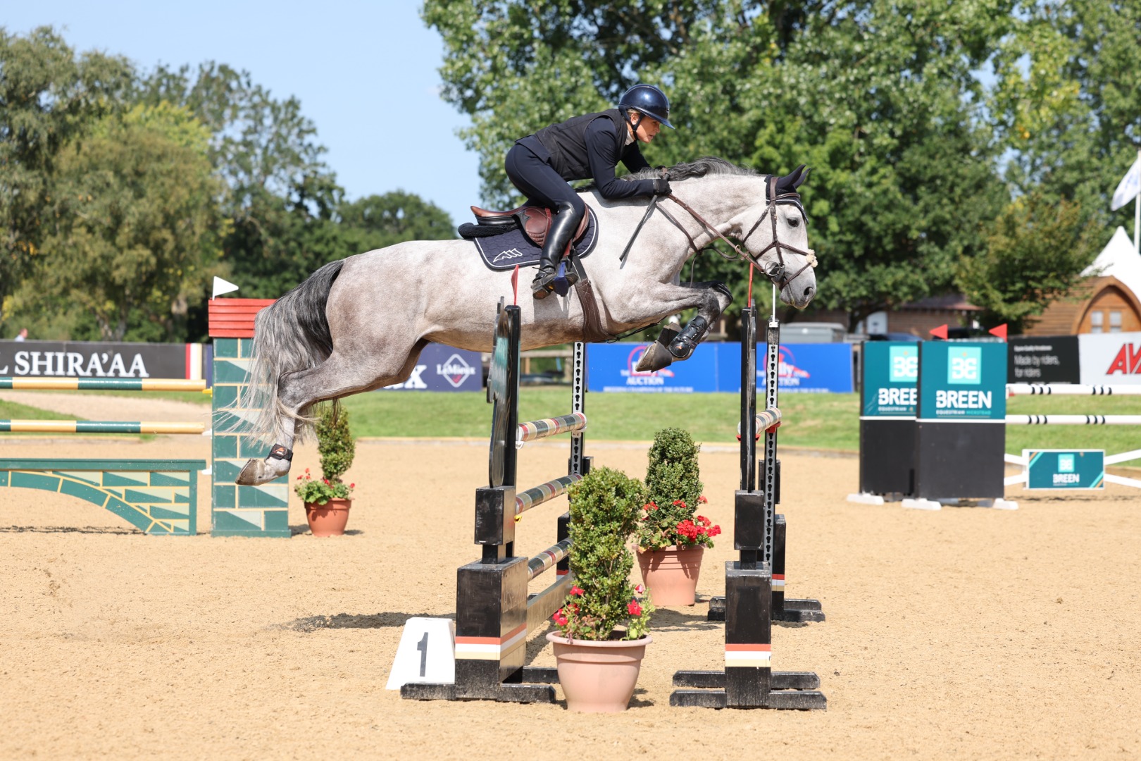 Laura Renwick and D-Ons Yvonvhs Z -  Prestige Italia British 6-yr old Championship 2Q