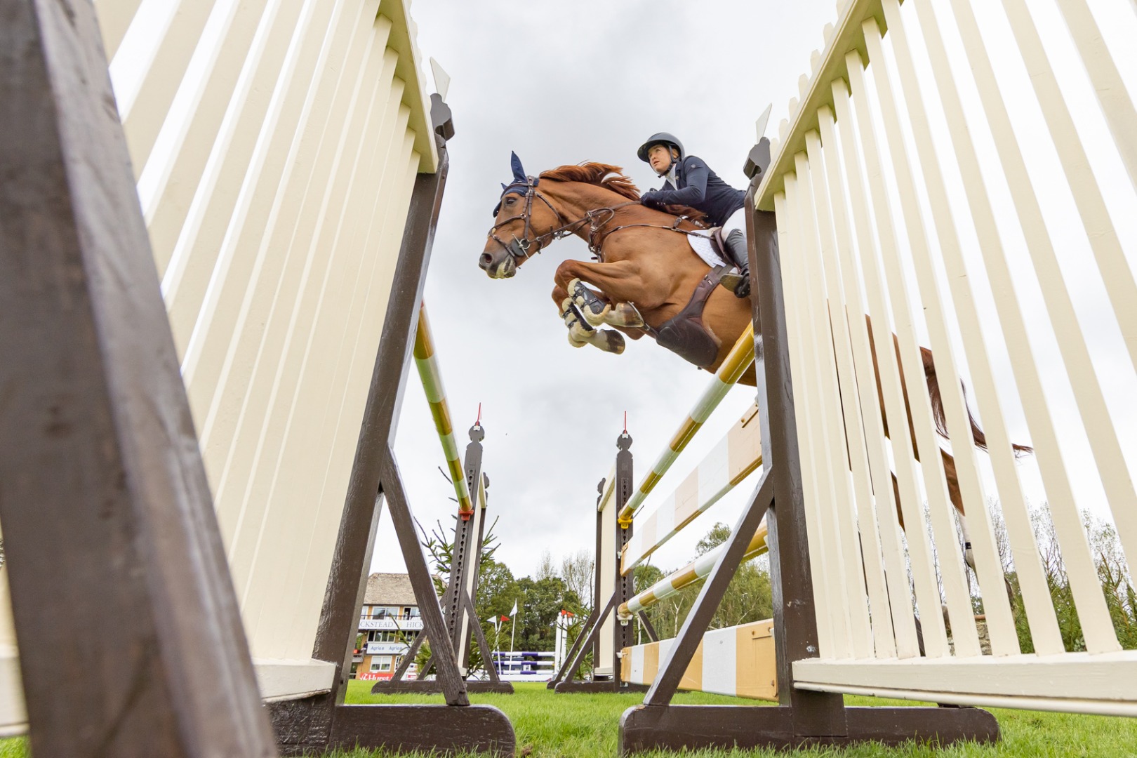 The Breen Equestrian 1.40m Open - Friday 4 September