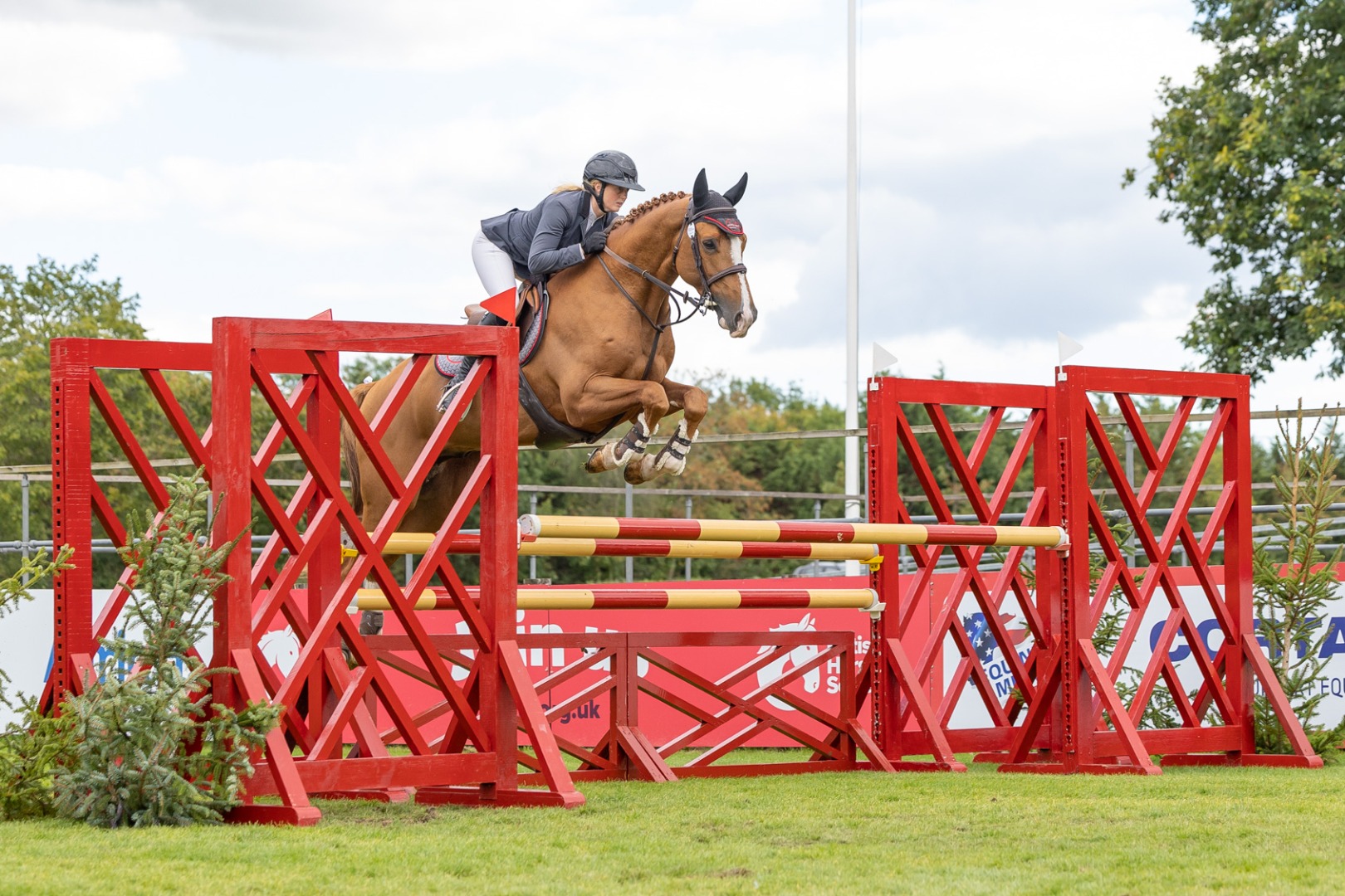 The Shaw Farm Stud Ltd All England Five Year Old Championship